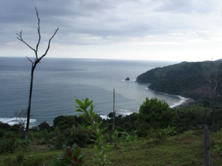 Virgin fly fishing in Panama